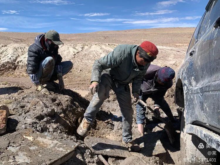 确实是天意，结识阿里三兄弟：嘎玛曲陪ཁེར་ཀྱང་གླེན་པ།、扎西南杰འབྲོག་ལས་བུ་ཆུང་、索曲གངས་ཕྲུག་།（红帽子小哥）