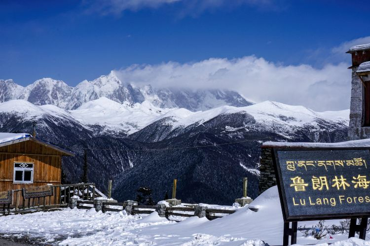 鲁朗林海
