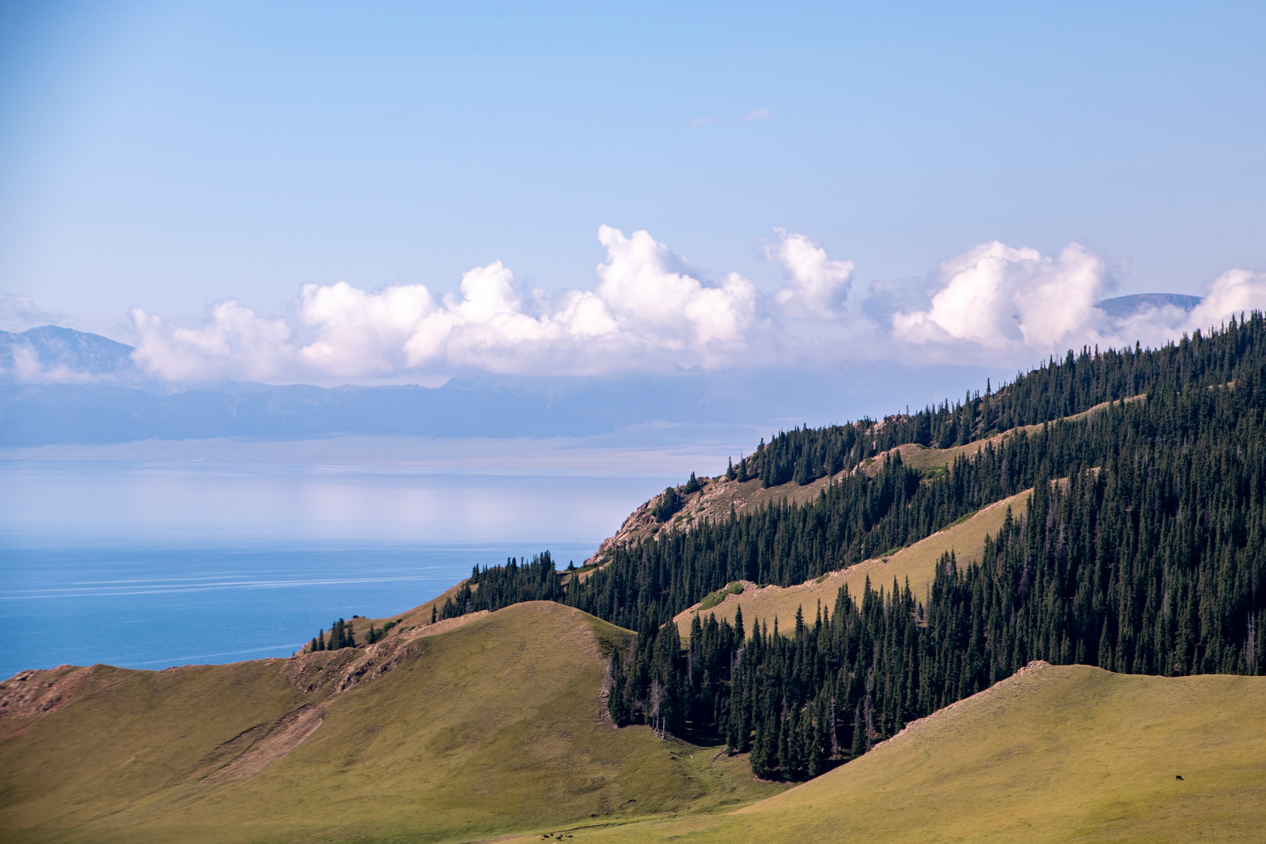 _DSC0274.jpg