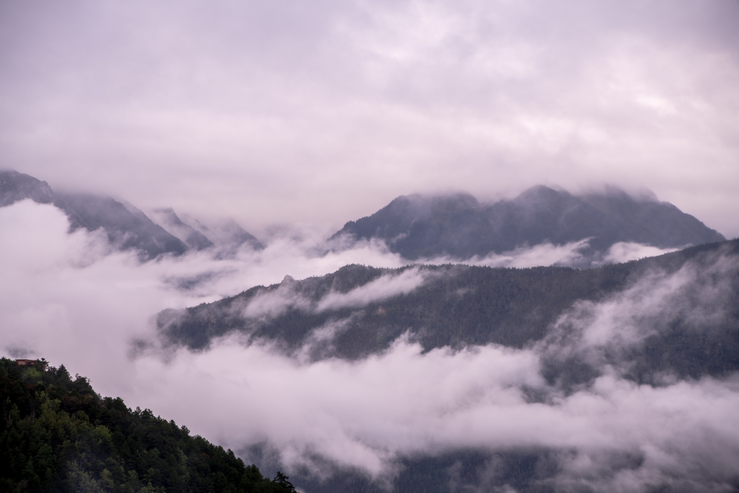 滇景 1