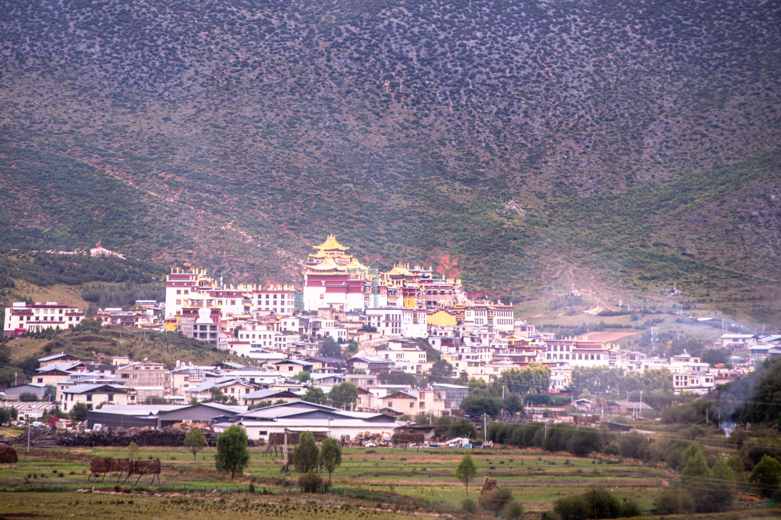 滇景 5