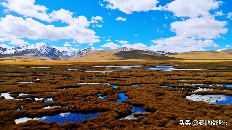 麦地卡湿地