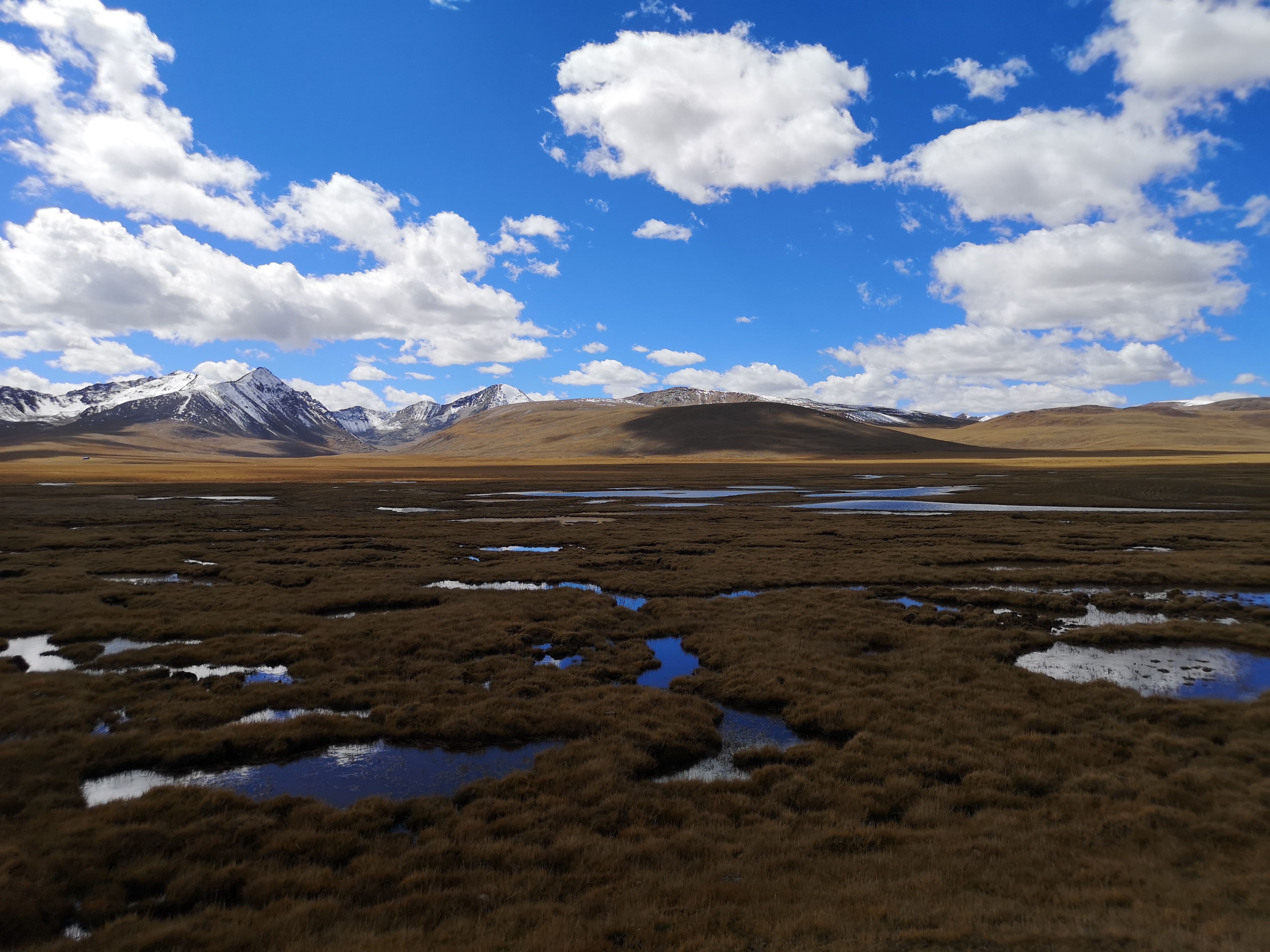 麦地卡湿地